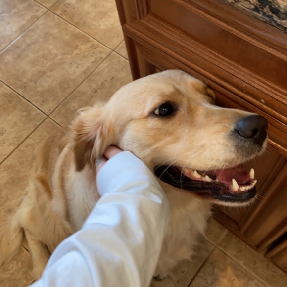 Meet your Posher, Afik - Picture 1 of 1